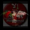 user336040956