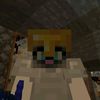 kotofey_12.mine
