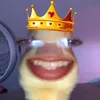 1dk_travss