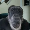 userqubm8o2ybi