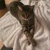 buschi_117