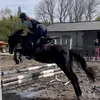 equi_katoxx