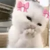 lor_zen