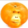 warter_melon13_37
