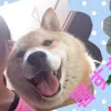 mayumayu912