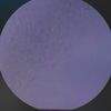 adam__1444