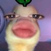 hrlndaaaaaaaaa24