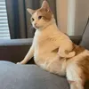 changg_9x