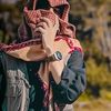 pashtoon_hokmat