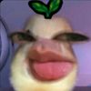 lrrenn_mhsa