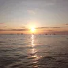mirrfries49