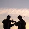 Violin phonix