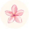 love__pammy