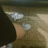 paulapm32