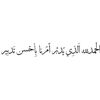 mohamedawad3821