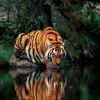 turobul.aqdam11