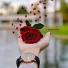 user6107591261965