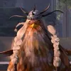 httyd_3