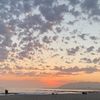 tidepool_rod
