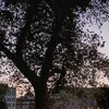 massimoe903