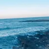 tximeleta_22