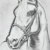 yuliheriyanto178