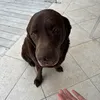 yuri_rahlf_4