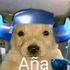 user_24362