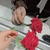 r_ana_22