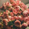lvu.g