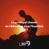 primadavx