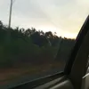 vqmneedbrain