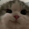 eue_27
