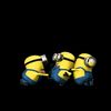aury8575