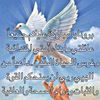 user30250620481552