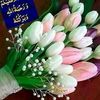 asim_mustafa302