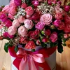 tania_g97