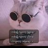 juliyar141