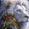 joseluisrodriguez7844