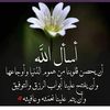 ahmed.ily7