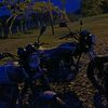 yomarmora19