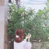 hai_16.01