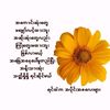 chen.nyein.soe.may
