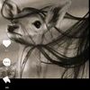 kholoud9__