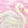 swanotgoose