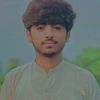 mughal..king..295.0