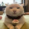 king_capcut__