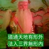 rayhsieh920