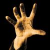 rtm_guitarist_proneteus