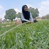 Mbak yull